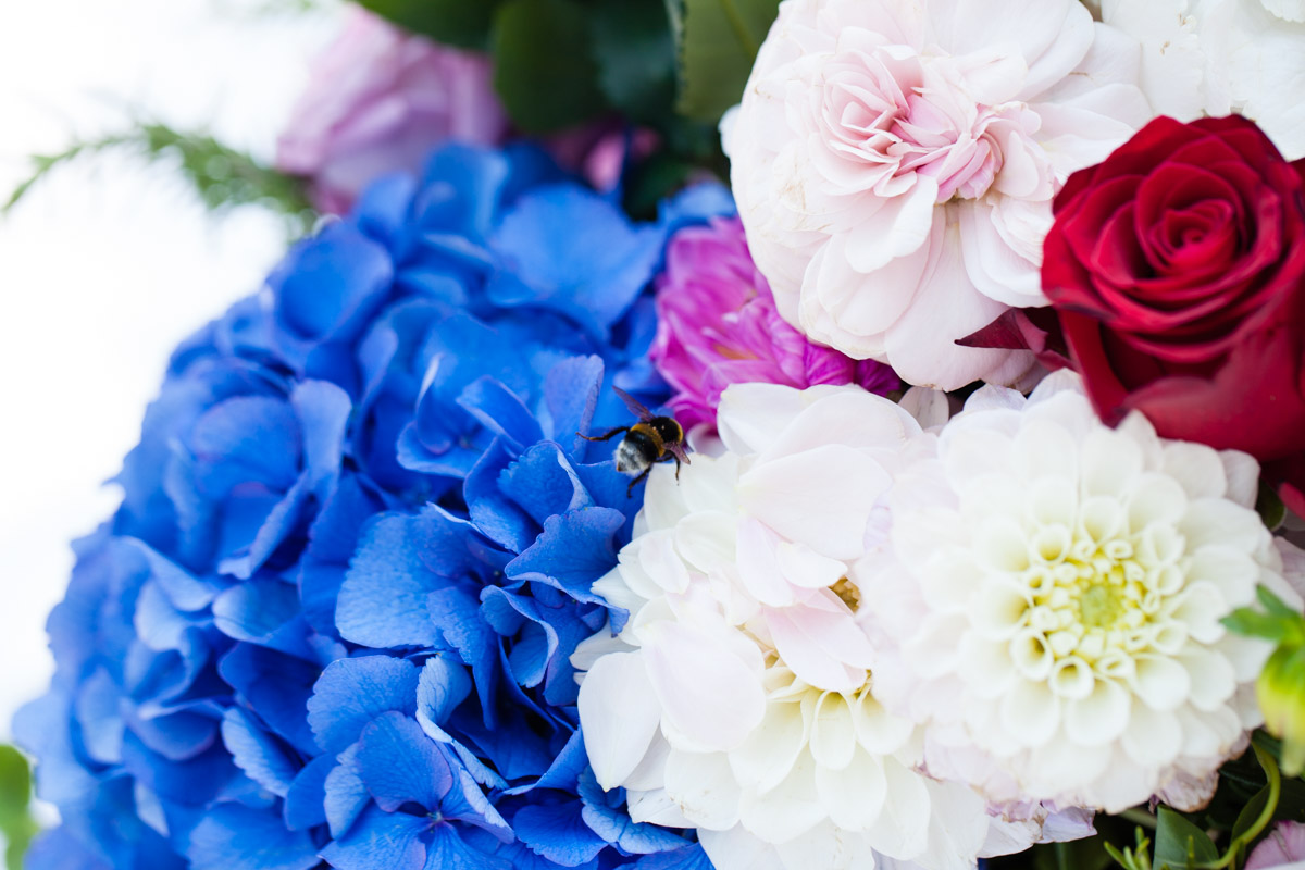 flowers-52.jpg
