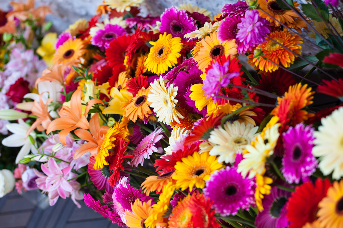 flowers-60.jpg