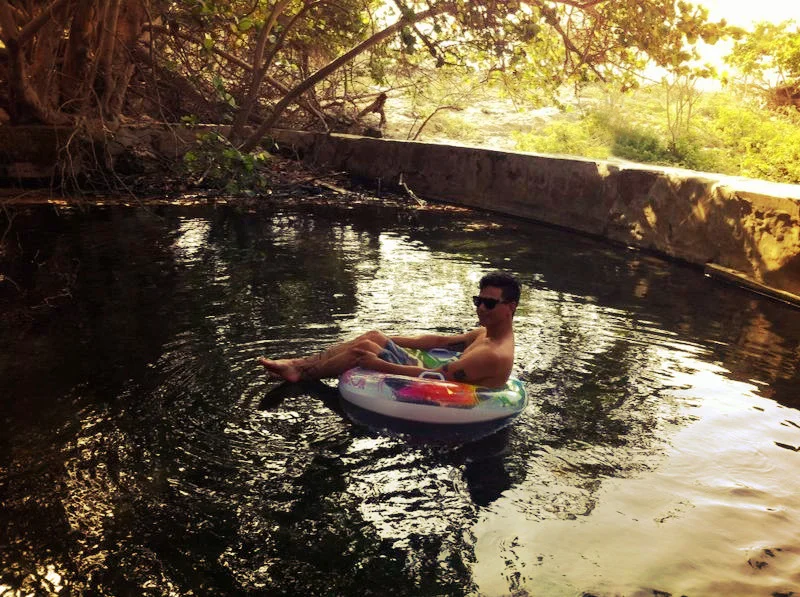 ash.jpg
