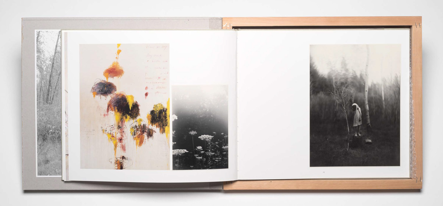 Where_Objects_Fall_Away_Page_11.jpg