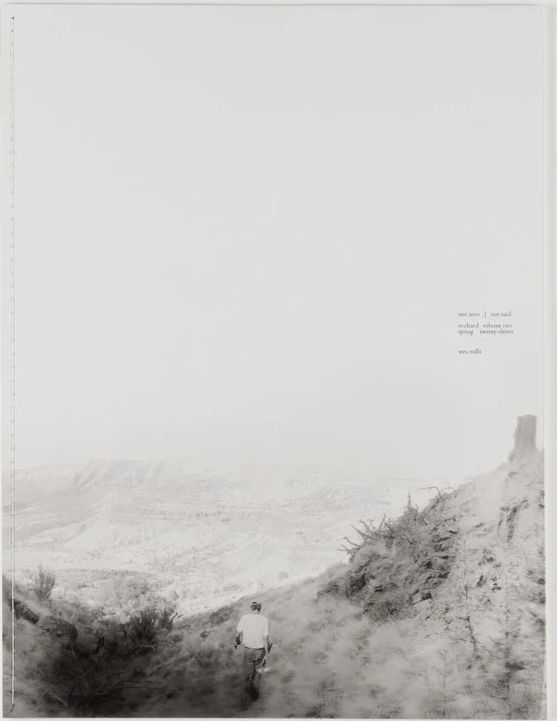 Vol. 2  Not Seen | Not Said  Wes Mills