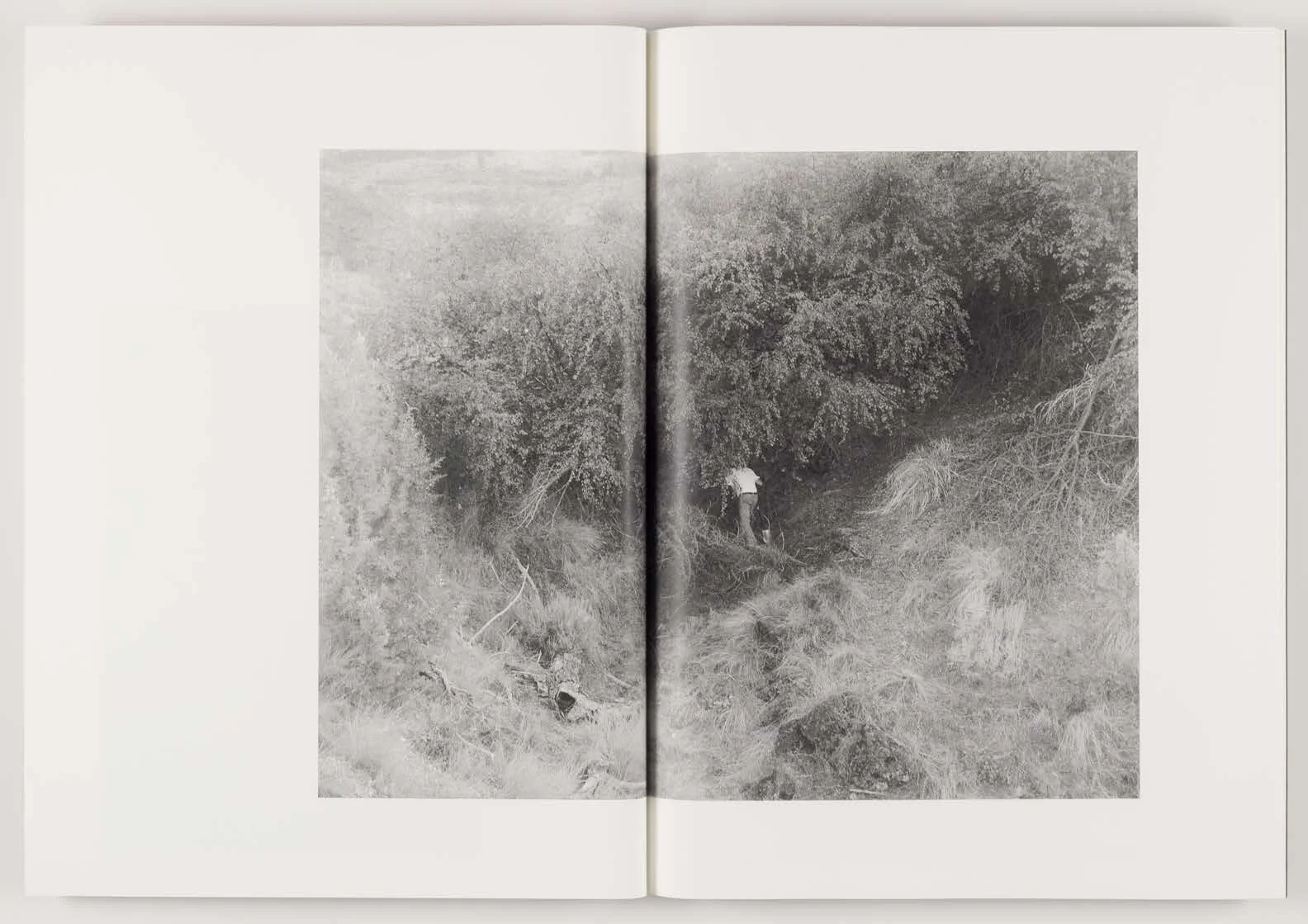 Orchard_Volume_2-Not_Seen_Not_Said_Page_05.jpg