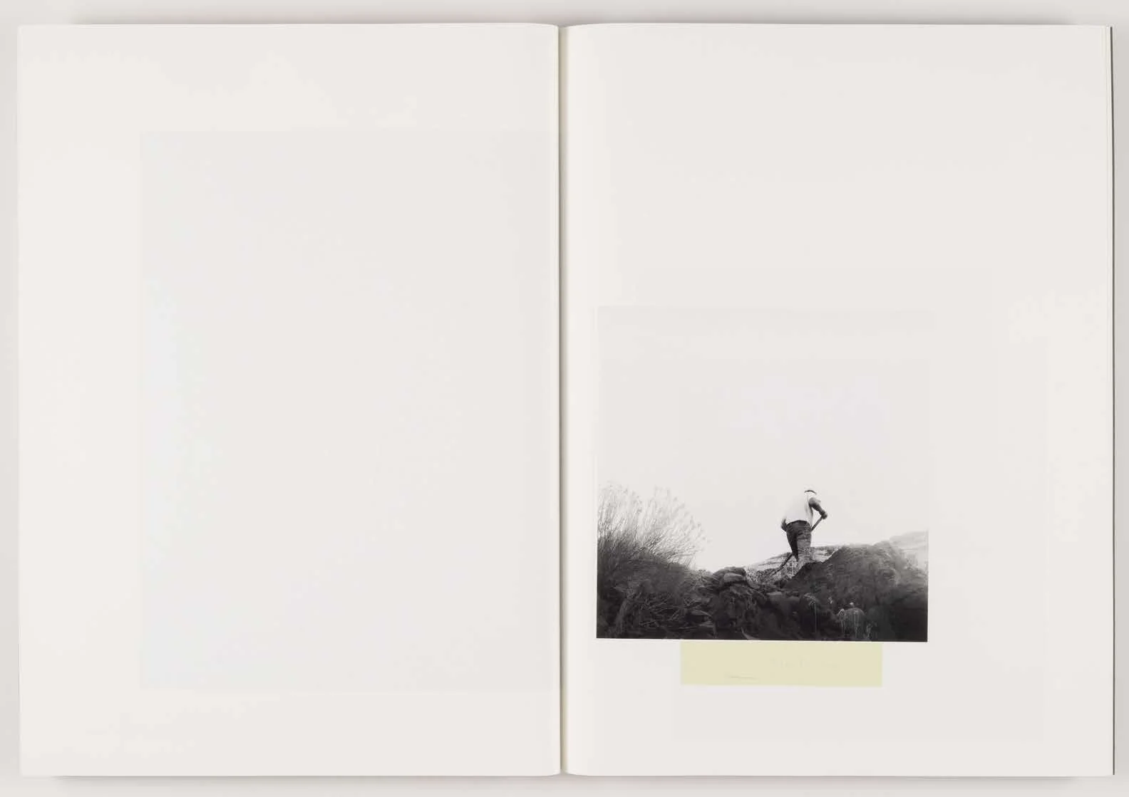 Orchard_Volume_2-Not_Seen_Not_Said_Page_06.jpg
