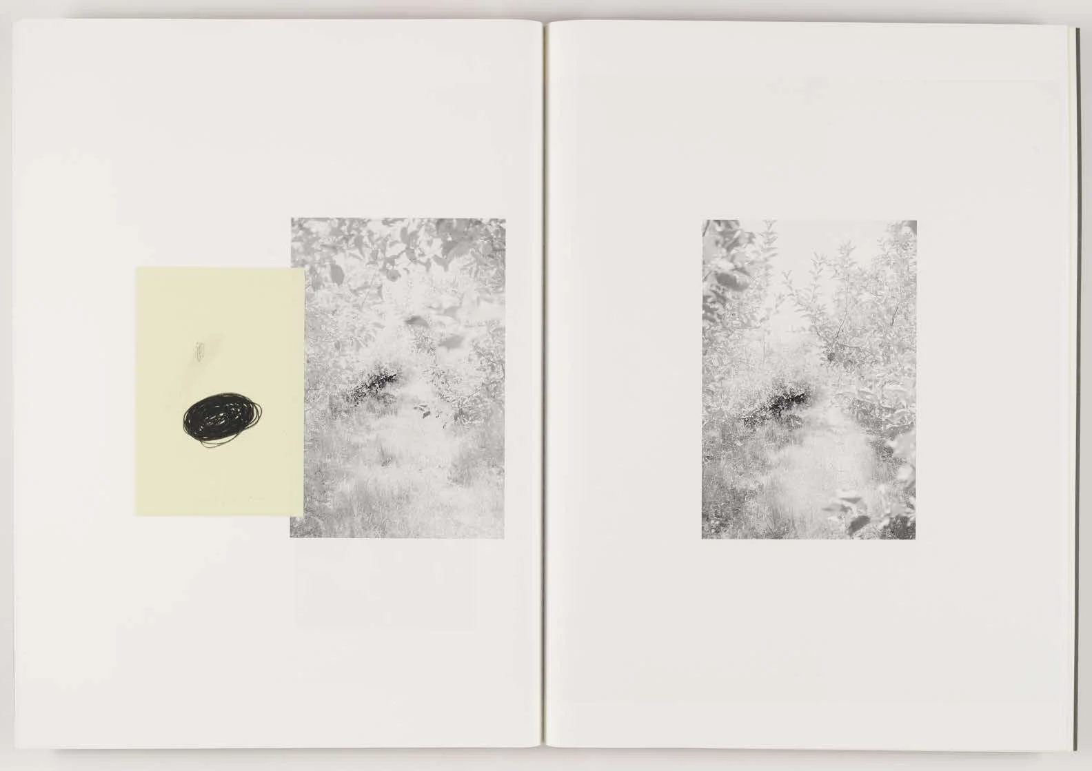 Orchard_Volume_2-Not_Seen_Not_Said_Page_11.jpg