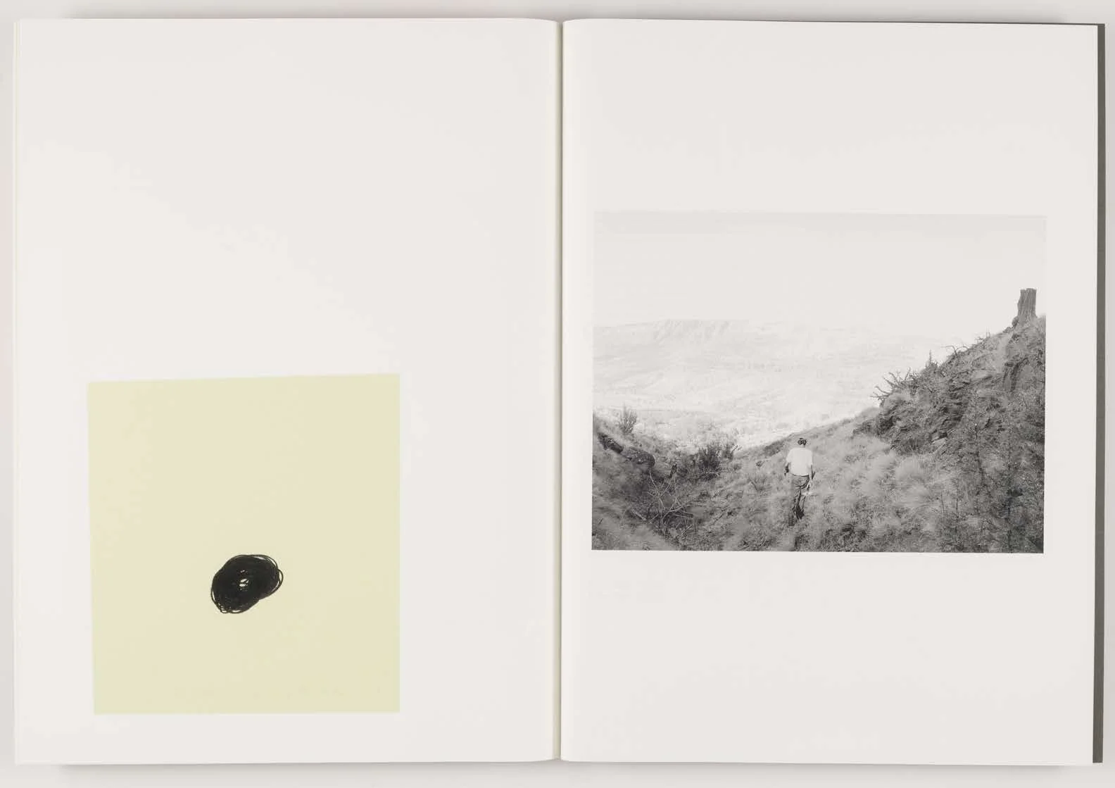 Orchard_Volume_2-Not_Seen_Not_Said_Page_19.jpg