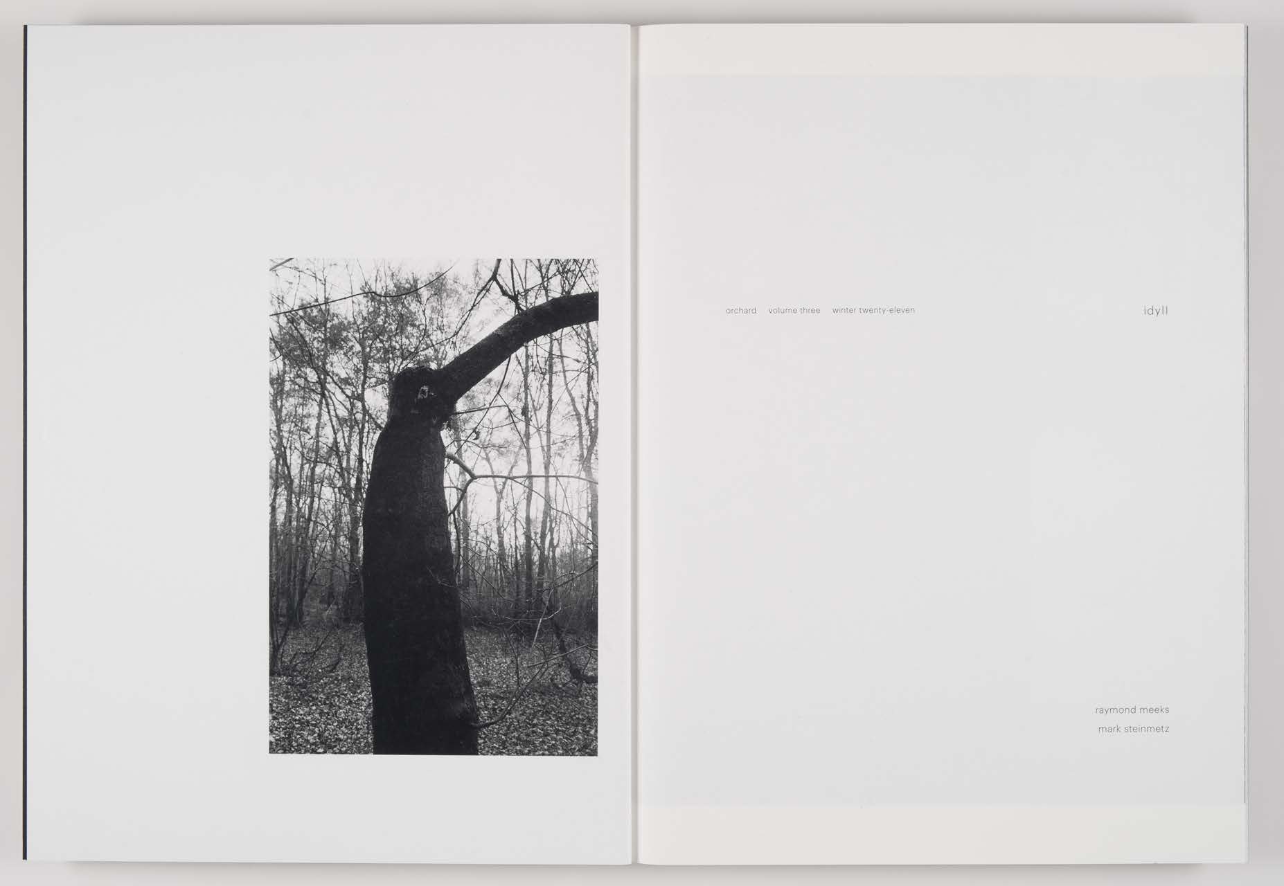 Orchard_Volume_3-Idyll_Page_02.jpg