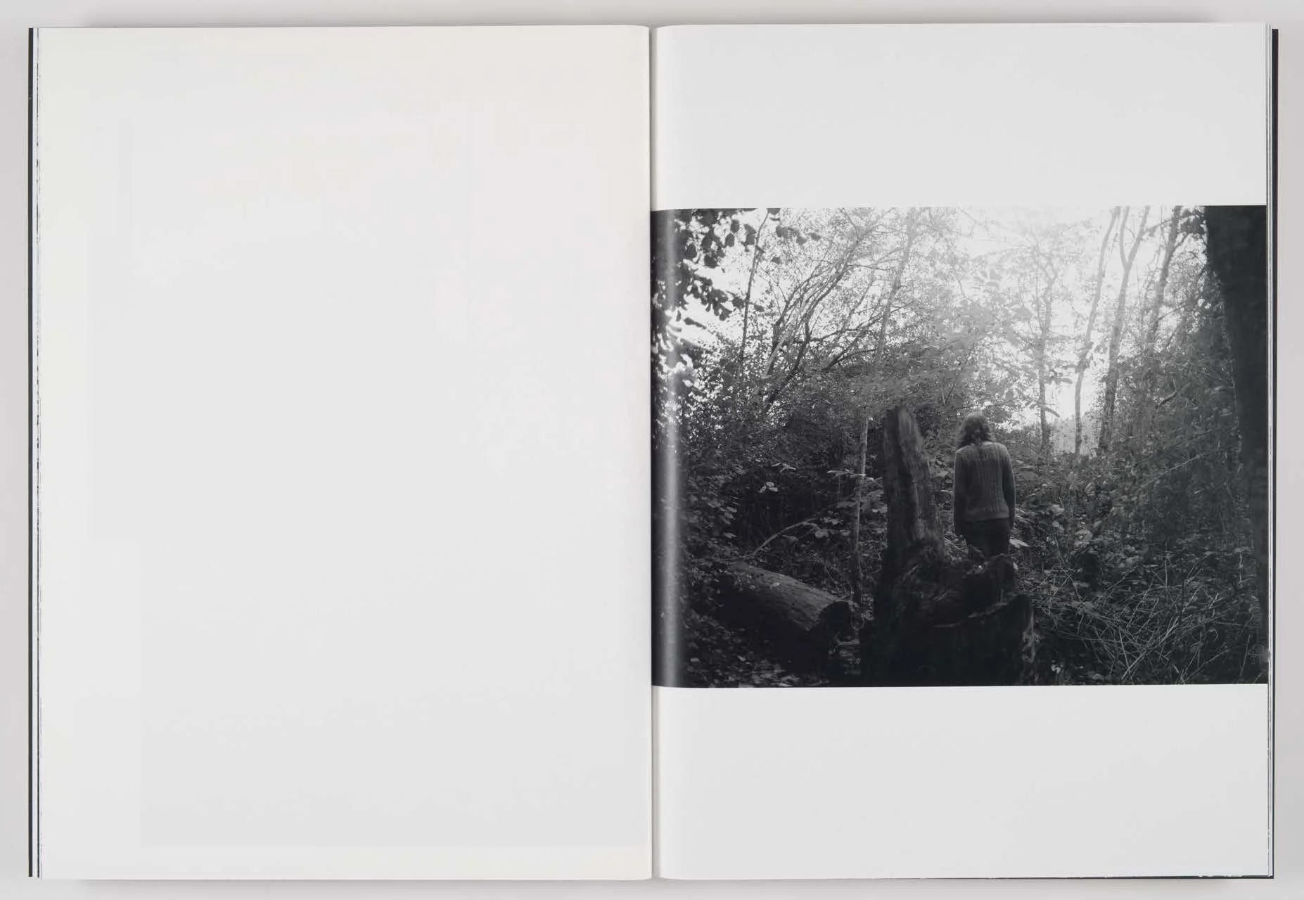 Orchard_Volume_3-Idyll_Page_08.jpg
