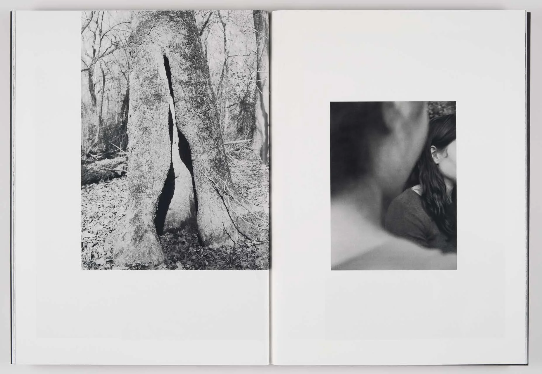 Orchard_Volume_3-Idyll_Page_10.jpg
