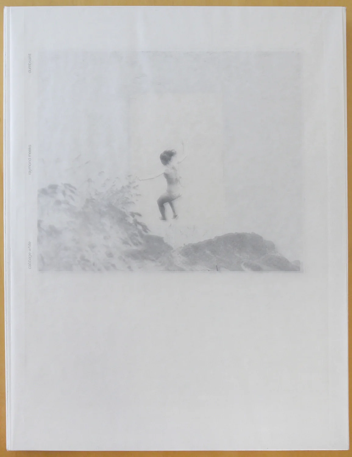 cabbage white book/print folio