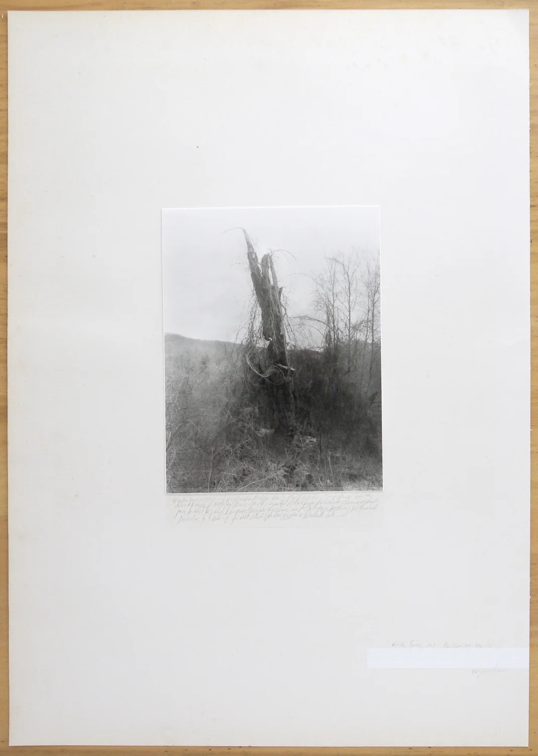 broadside #4  stanfordville, NY  