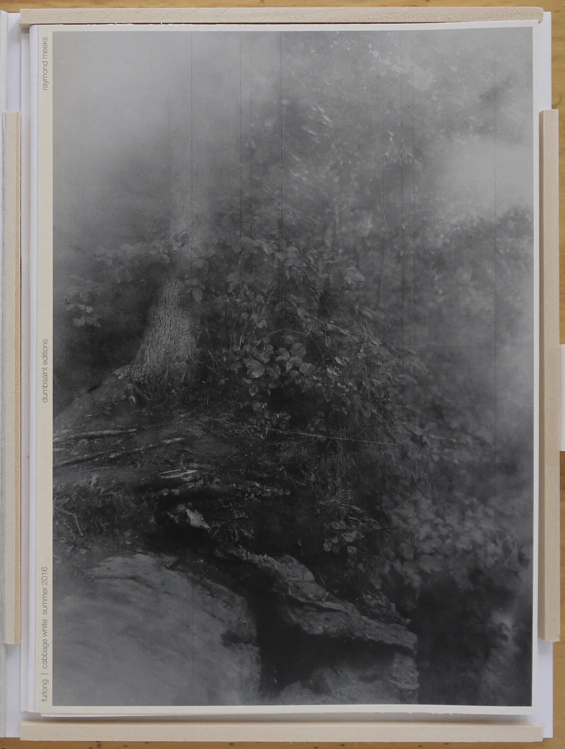 cabbage white artist book & broadside