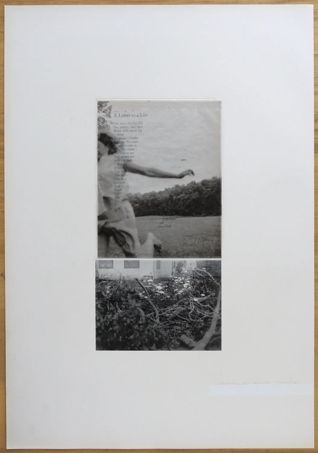 broadside #3    adrianna, oak hill / cairo 