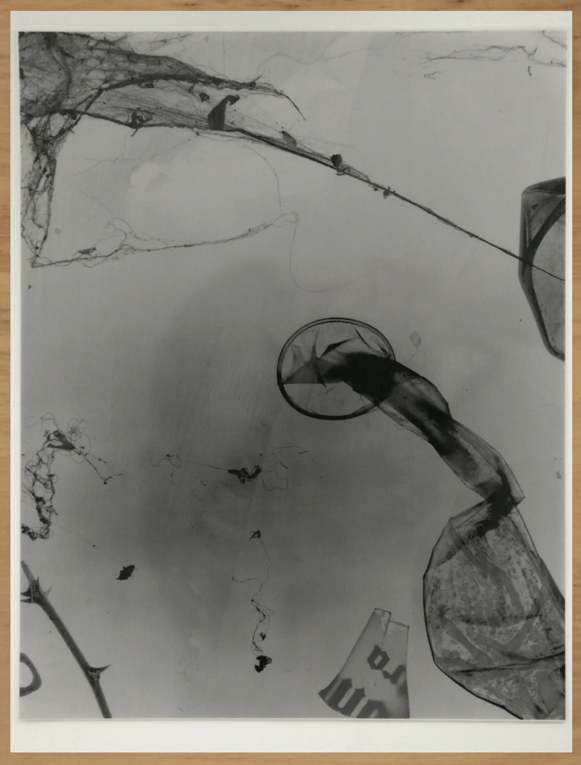 photogram, 8x6 in., ortho film transparency mounted to paper