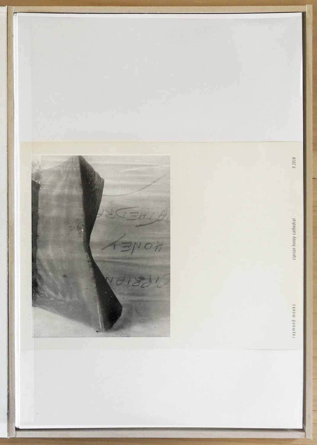 Ciprian Honey Cathedral