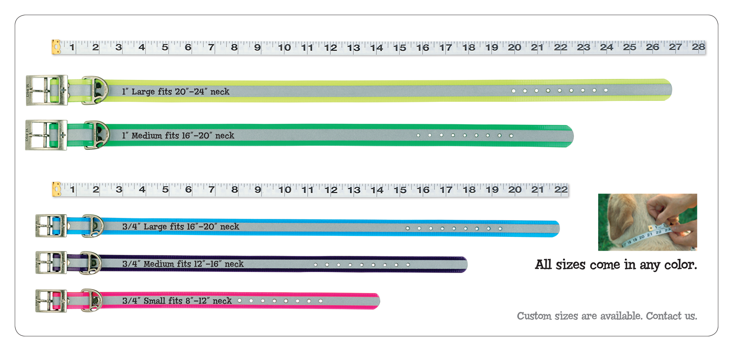 digit_webchart.png
