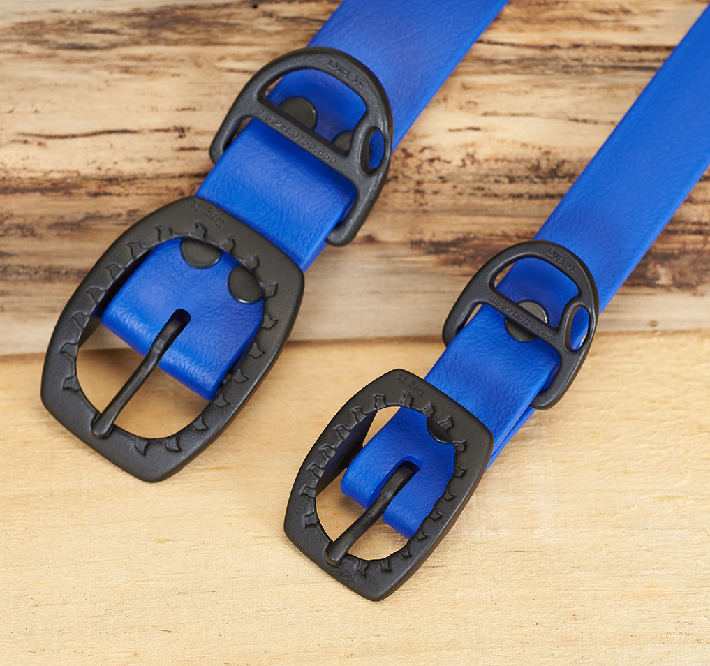 2SBB Blue.png