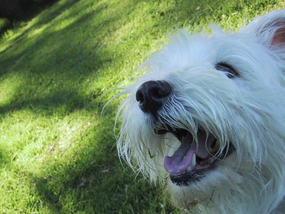 Look at that gorgeous woofer.