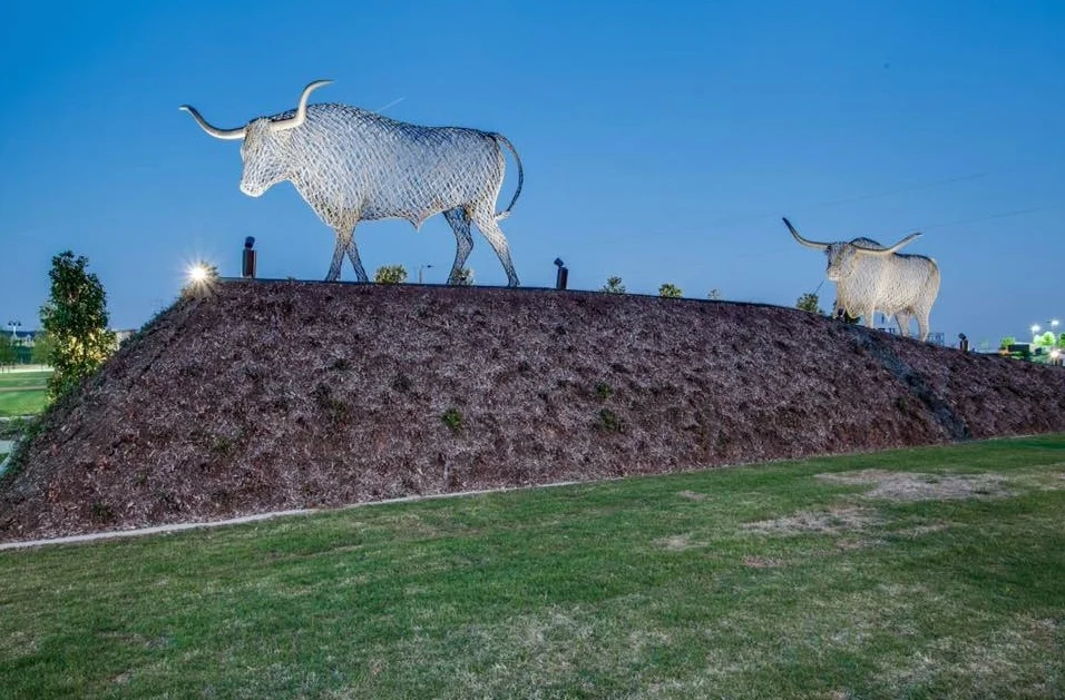 peter-busby-bulls.jpg