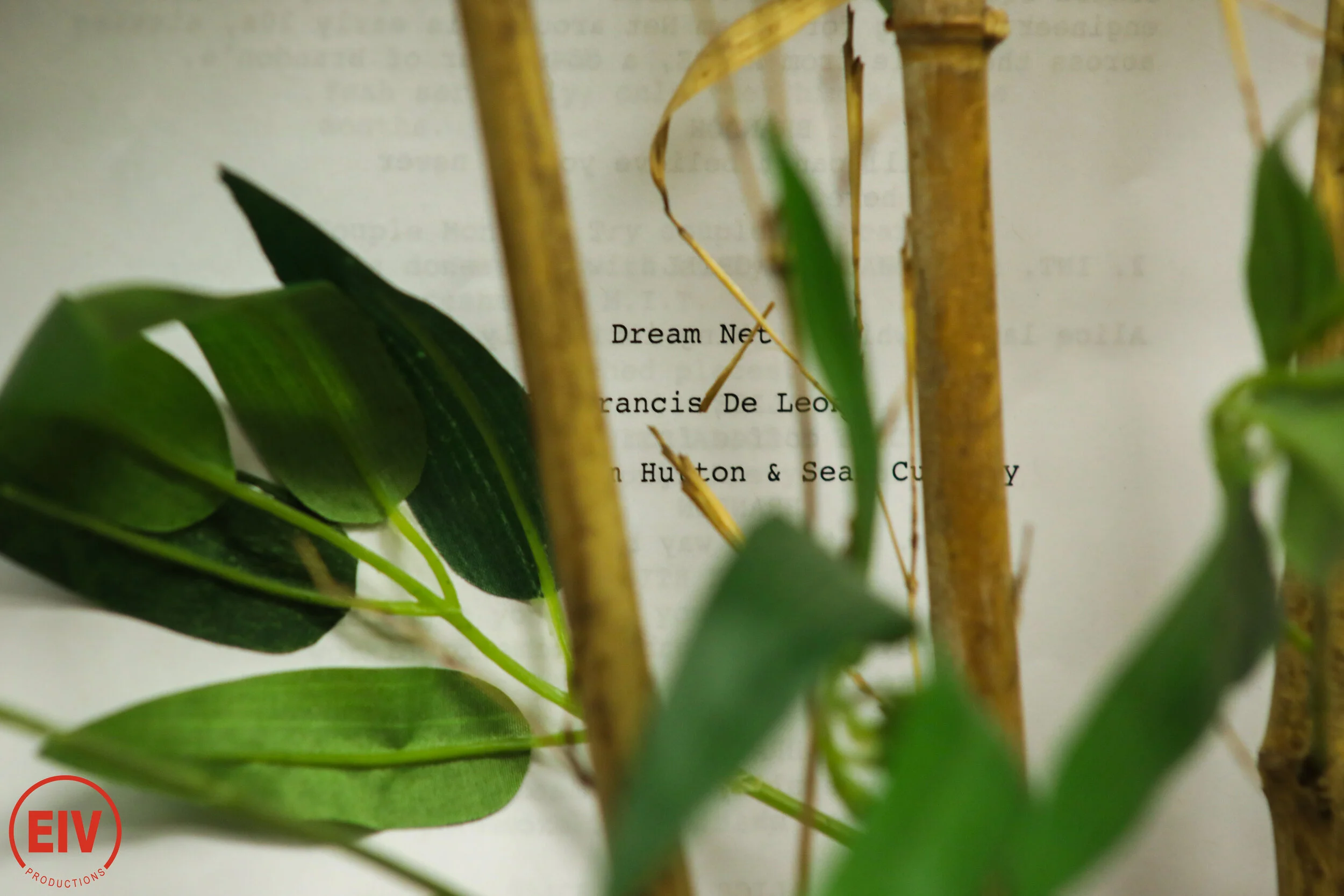 Dream Net BTS select4.jpg