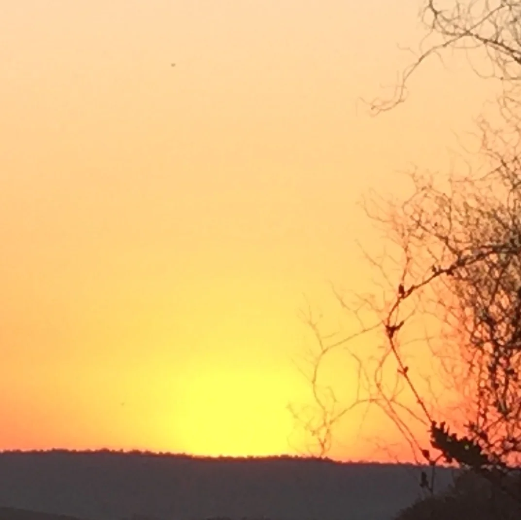 Deine Seelenwünsche ans Licht holen, MI 26. April 2017 um 20.00h