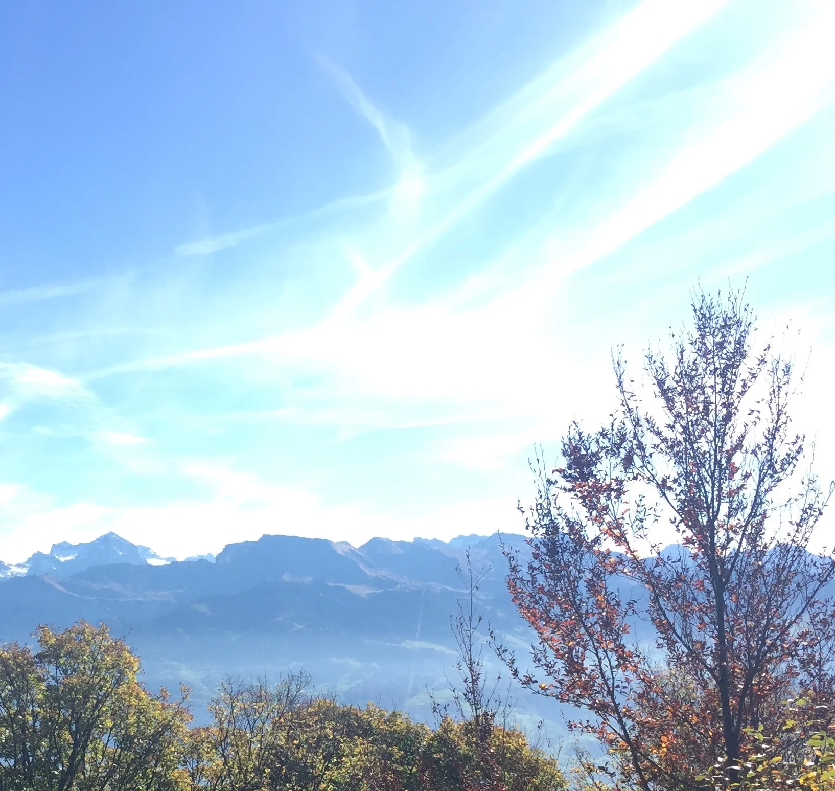 Sumpf ade - Wechseln der Ebene, MO 18. Dezember 2017 um 20.00h