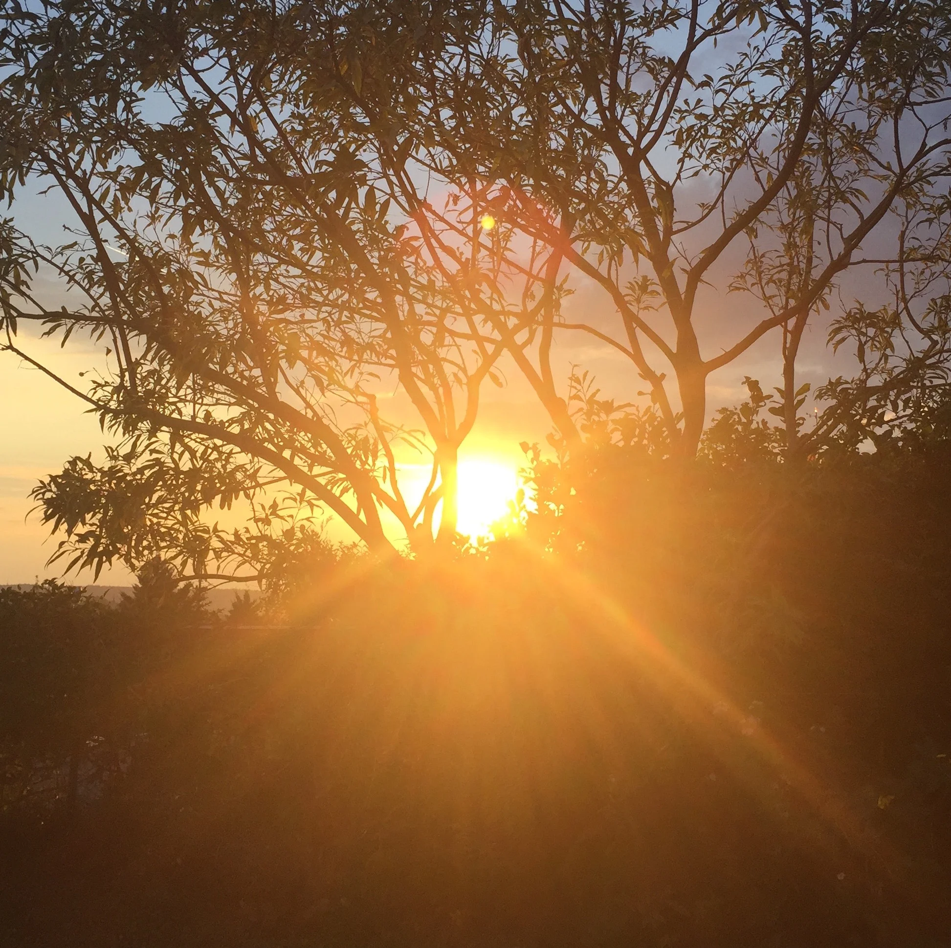 Auf in die nächste Runde mit Selbstannahme, SO 9. September 2018 um 20.00h