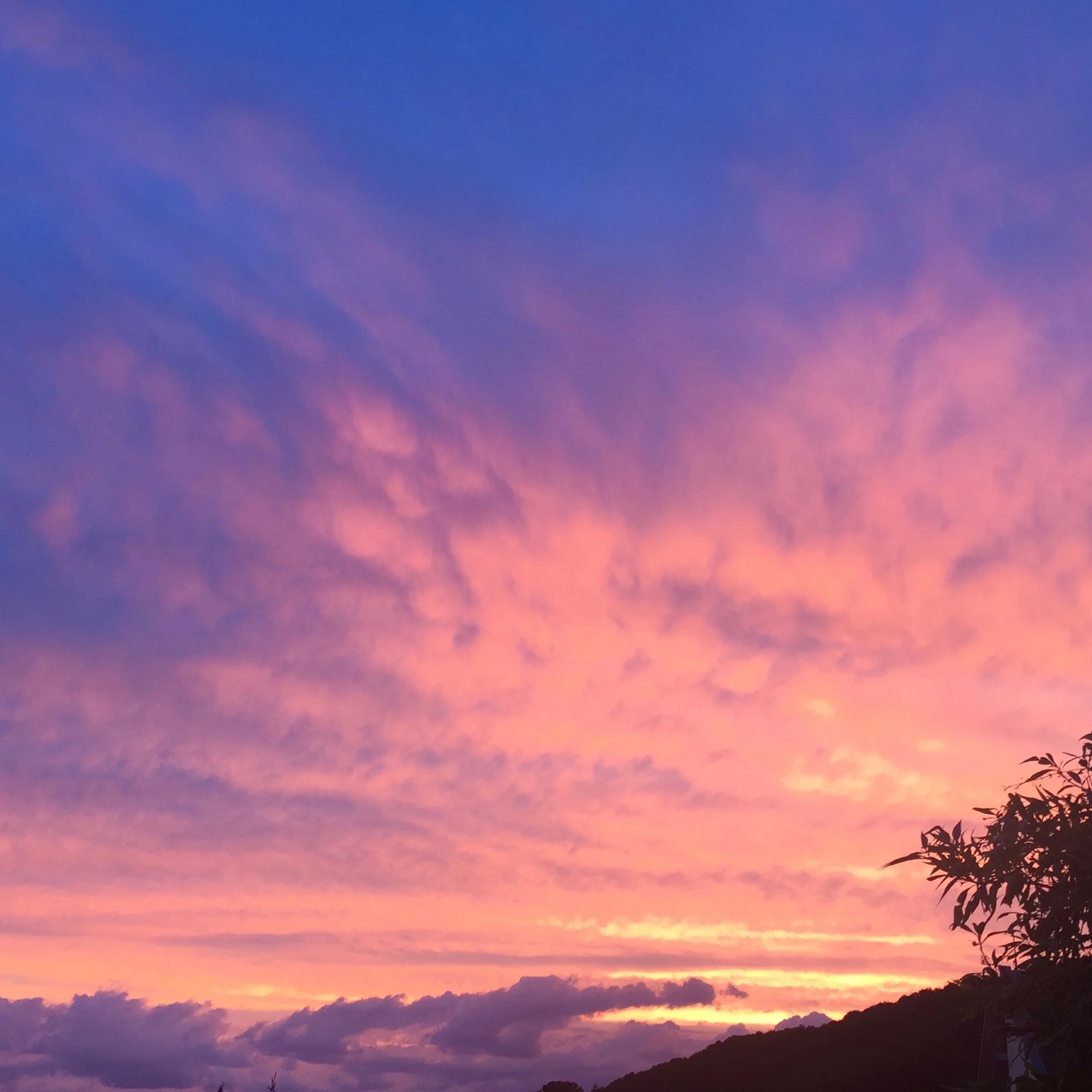 Erwache NEU, DI 9. Oktober 2018 um 20.00h