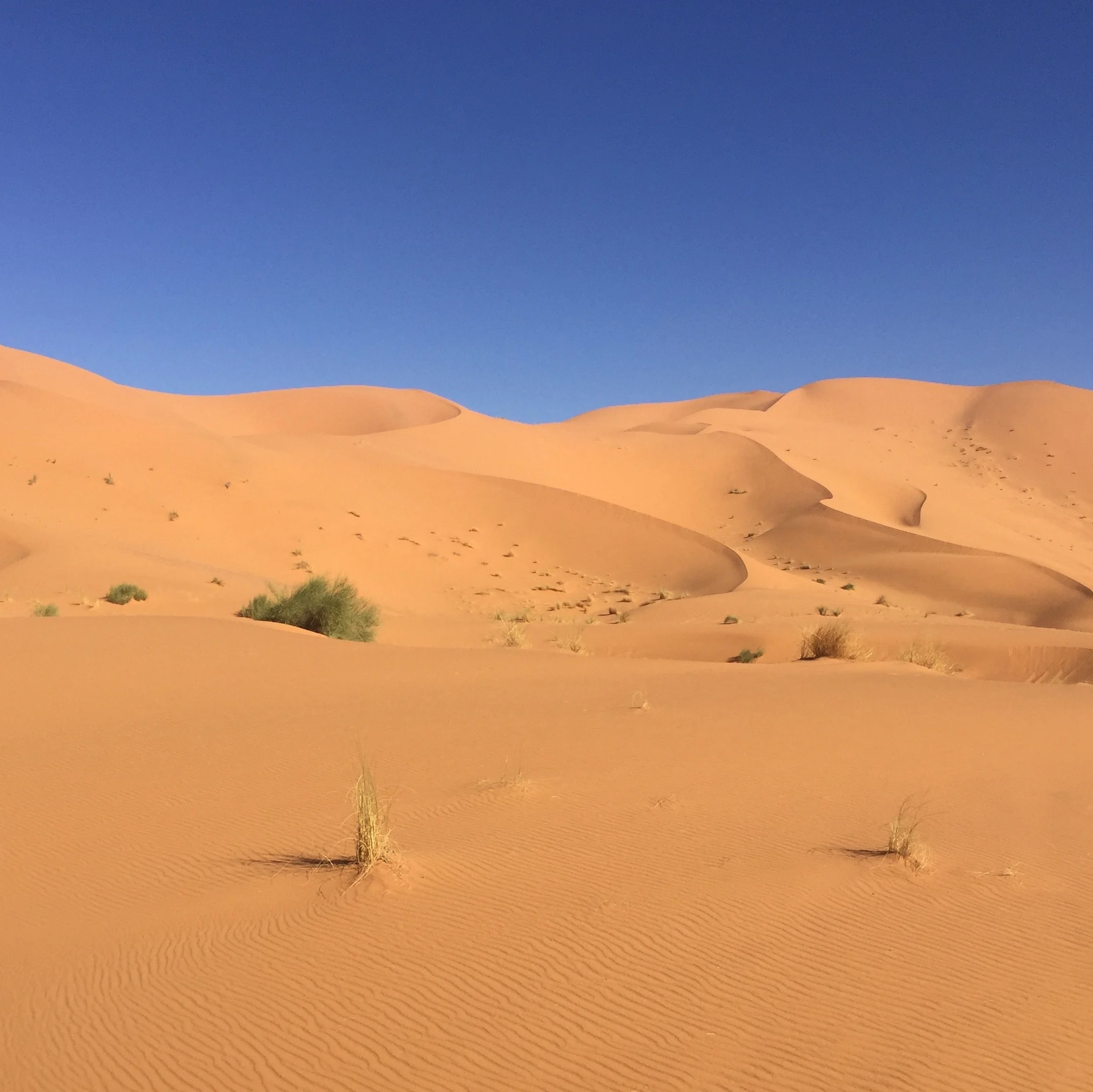 Werde still und empfange, DI 26. November 2019 um 20.00h