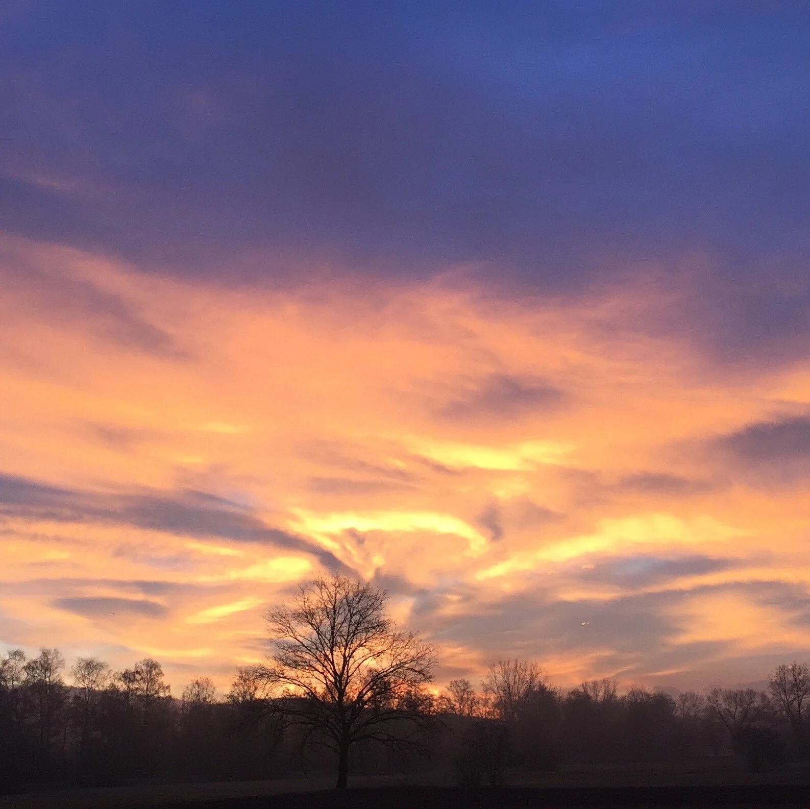 Finde dich selbst in deinem neuen Energiefeld, FR 24. Januar 2020 um 20.00h