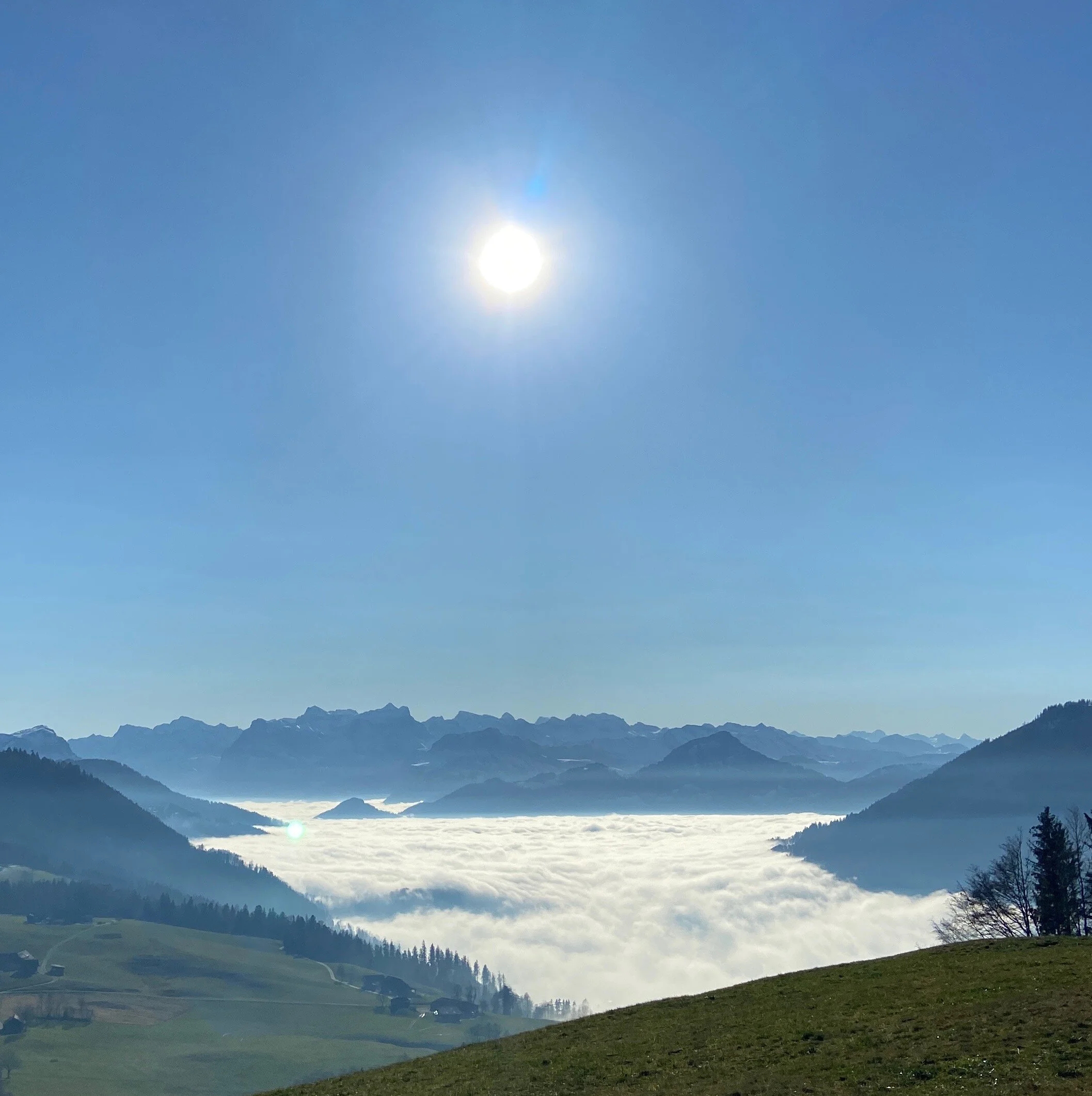 Festige dich im Neuen, fern vom Nebel, MI 13. Januar 2021 um 20.00h