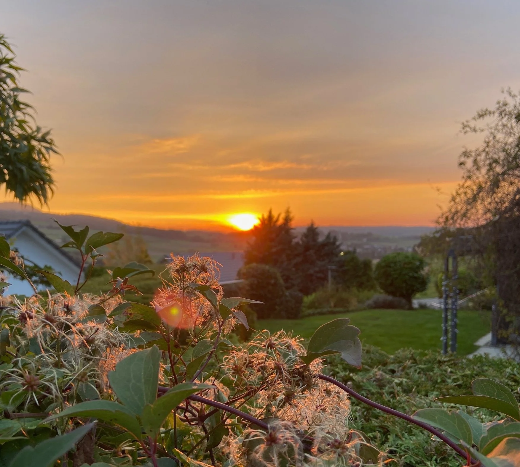 JETZT, erkenne &amp; lasse gehen, SO 5. Dezember 2021 um 20.00h 