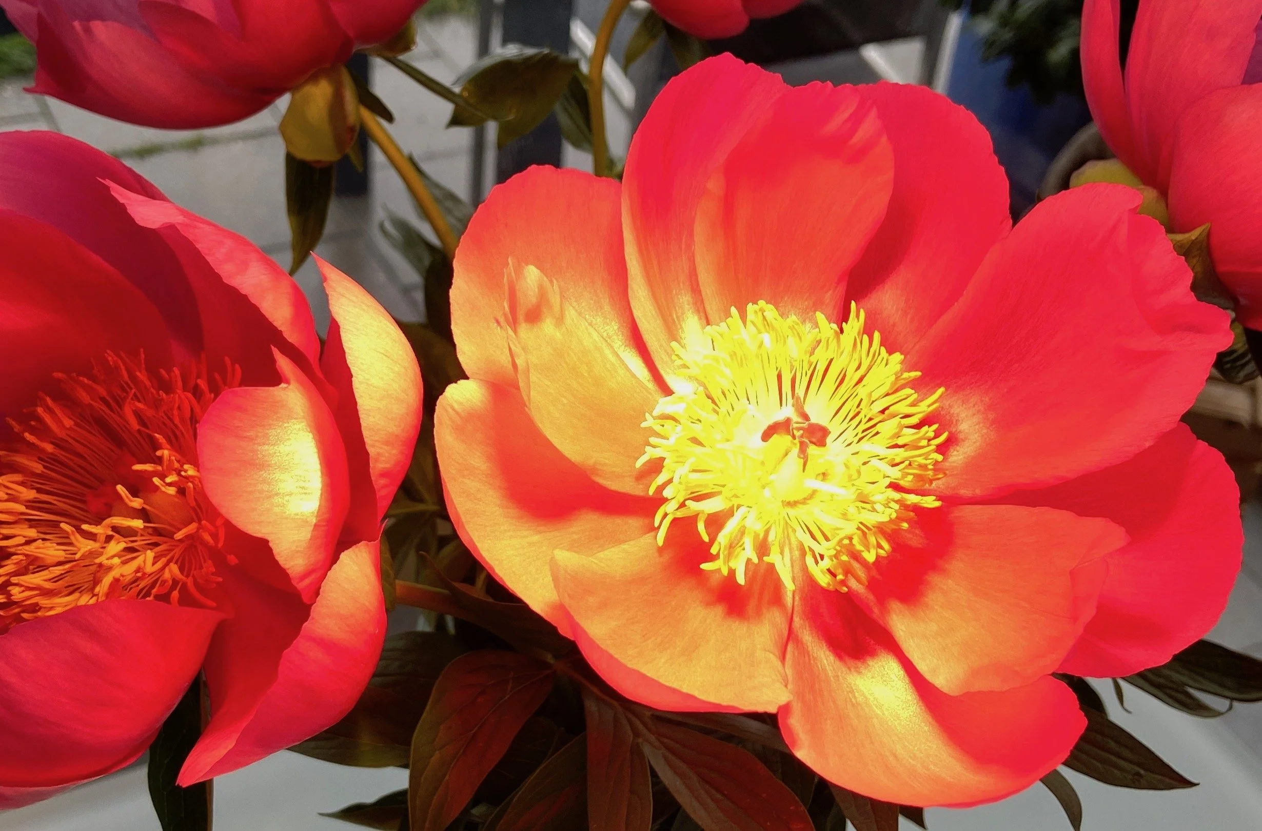 Neuanfang - Spotlight aufs Herz ❤️, FR 1. April 2022 um 20.00h