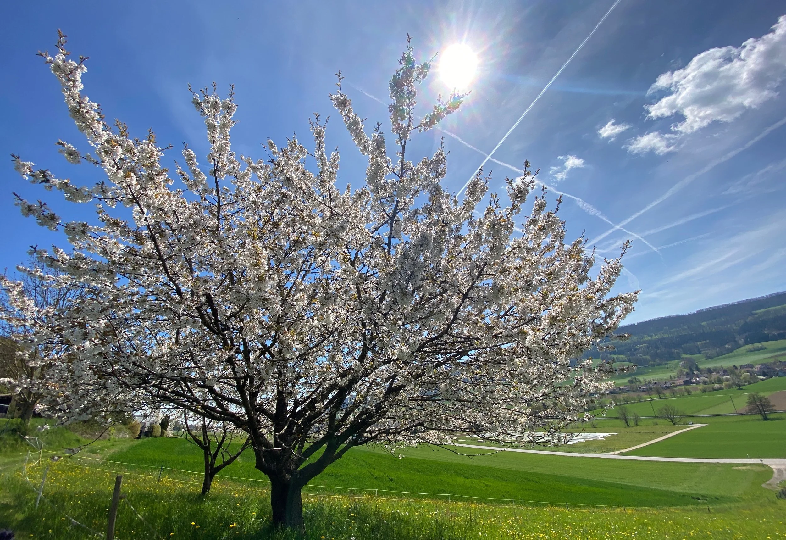 Pure Liebe ❤️ und kosmische Sprengkraft, SO 1. Mai 2022 um 20.00h