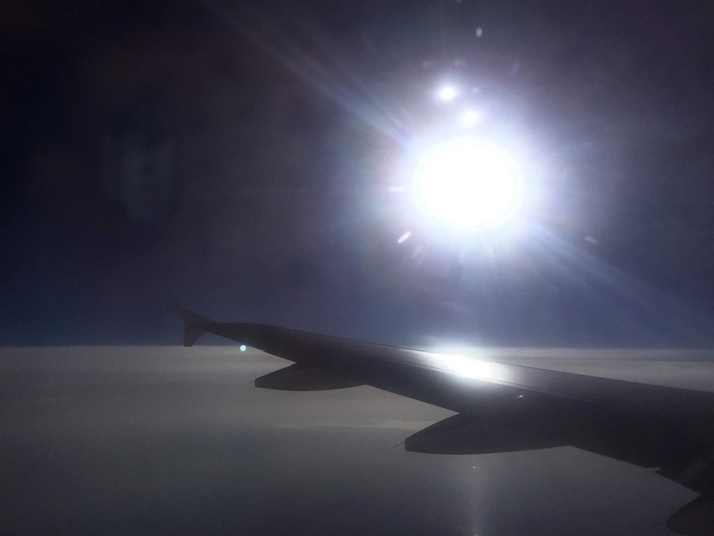 Werde flügge und fliege, MO 16. Mai 2022 um 20.00h