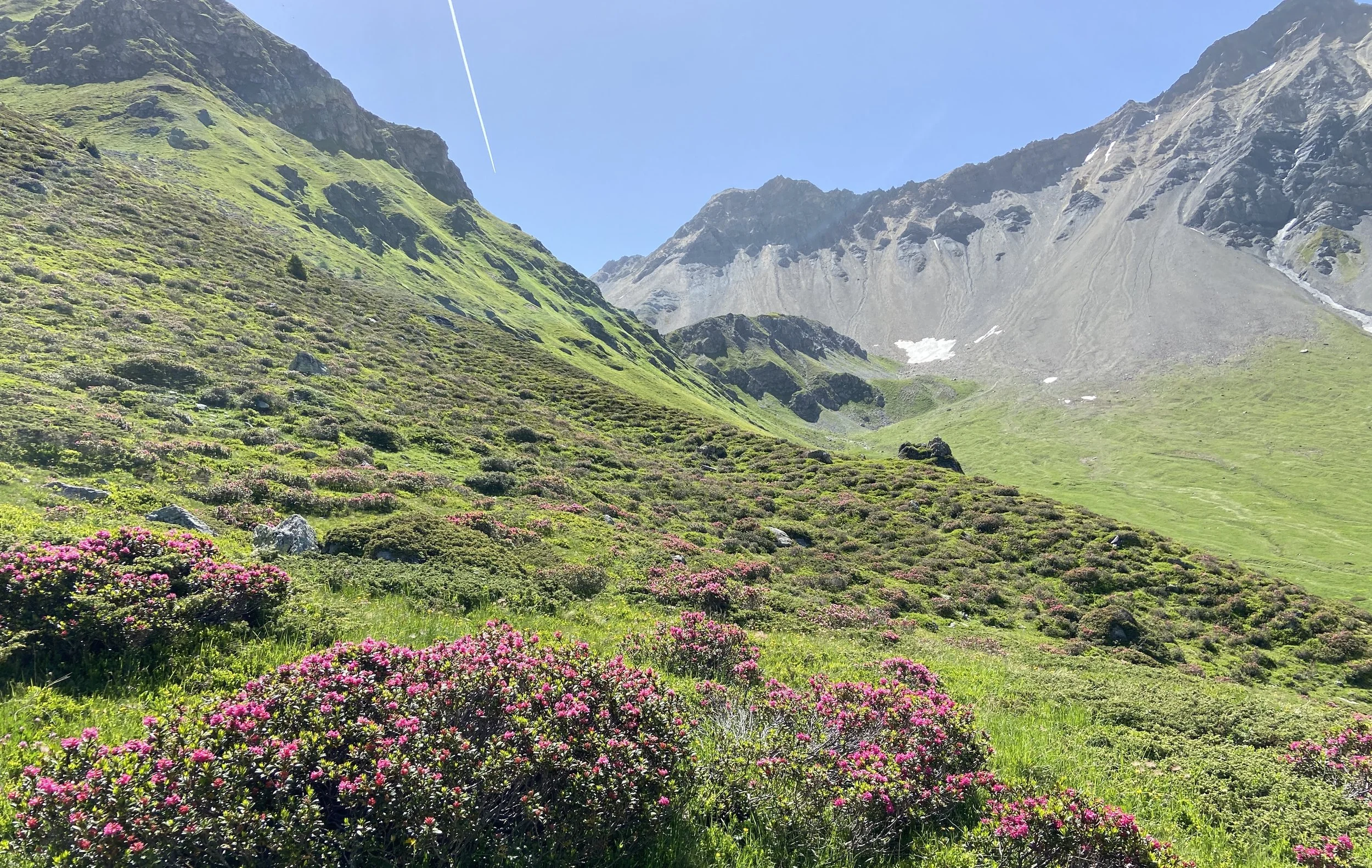 Hoch hinaus &amp; fallen lassen, was fällt, MI 29. Juni 2022 um 20.00h