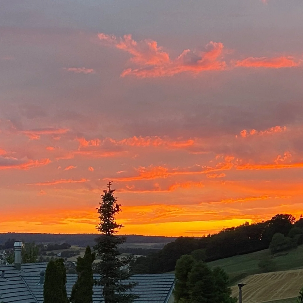 💝 Kostenfrei - 💫✨ Lichtkörper Aktivierung - Löwenportal, MO 8. August 2022 um 20.00h