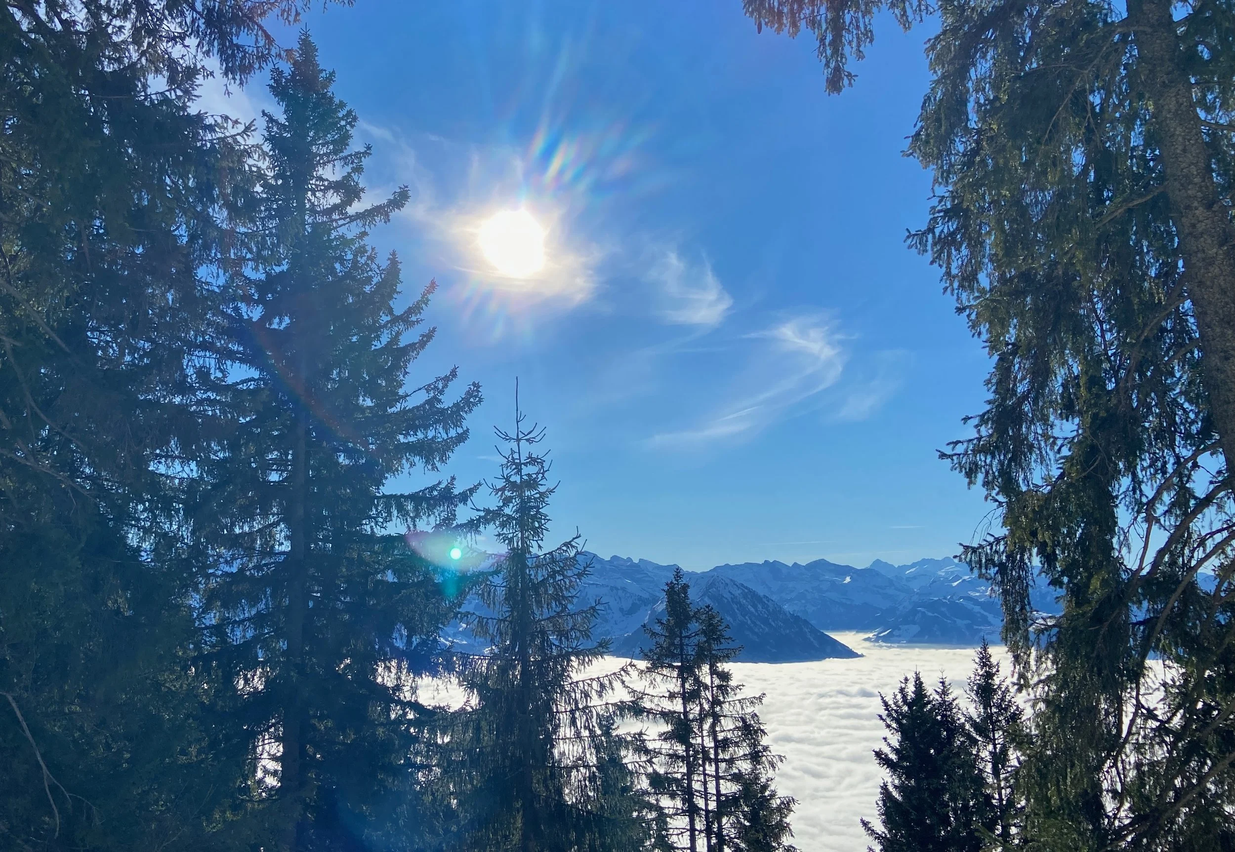 Spezial-Webinar: Licht &amp; Liebe, die grössten Transformatoren, DI 8. November 2022 um 20.00h