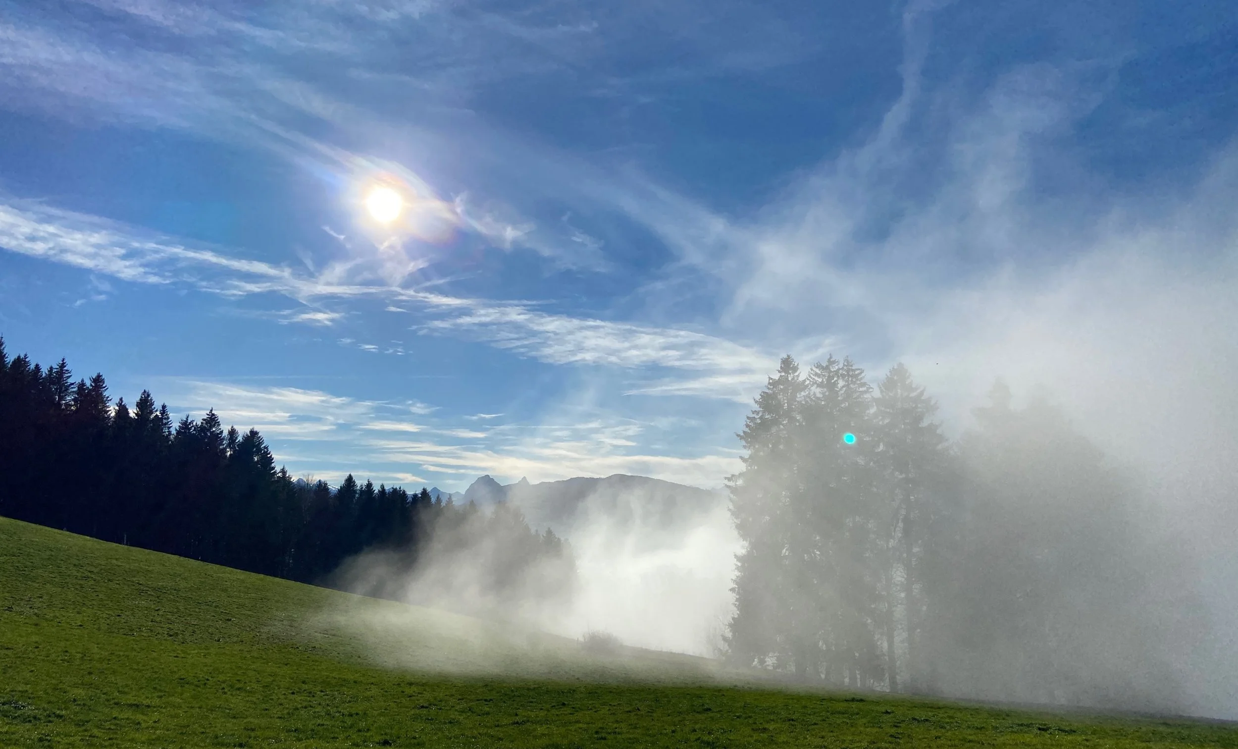 💝🌈🏆 Portalöffnung - Gib dem Neuen eine Chance, SO 22. Januar 2023 um 20.00h