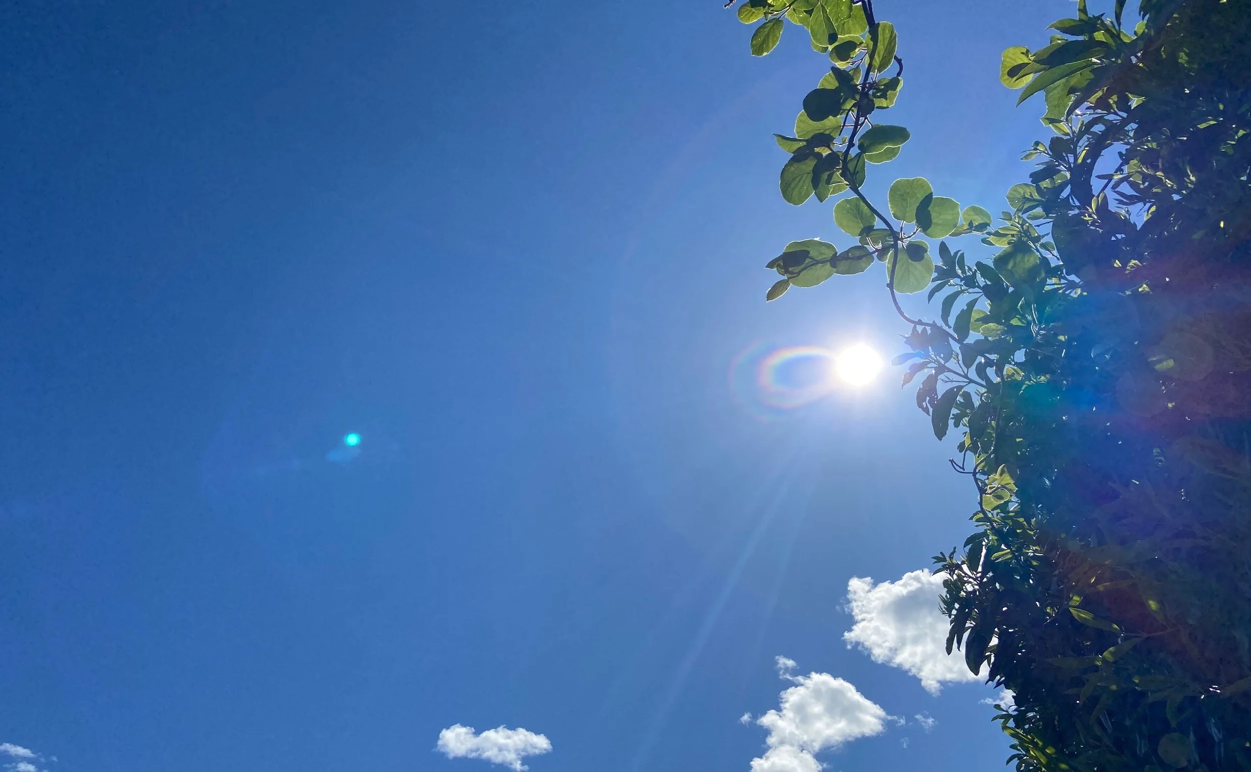 ❤️🌈 Bist du bereit für die nächst höhere Ebene? FR 19. Mai 2023 um 20.00h
