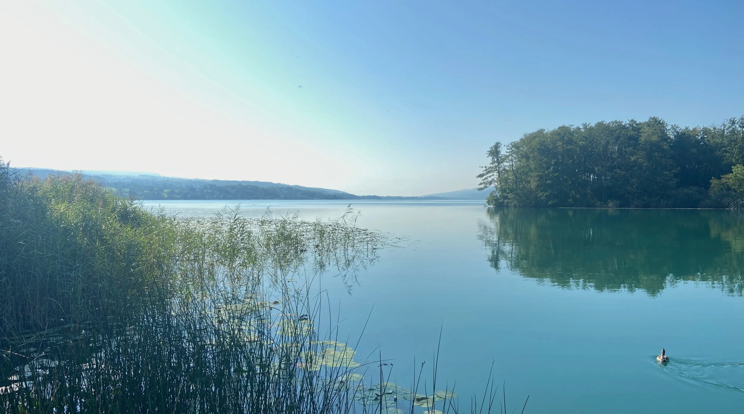 Neue Energie in Strömen &amp; Innerer Frieden als Anker, MO 13. November 2023 um 20.00h