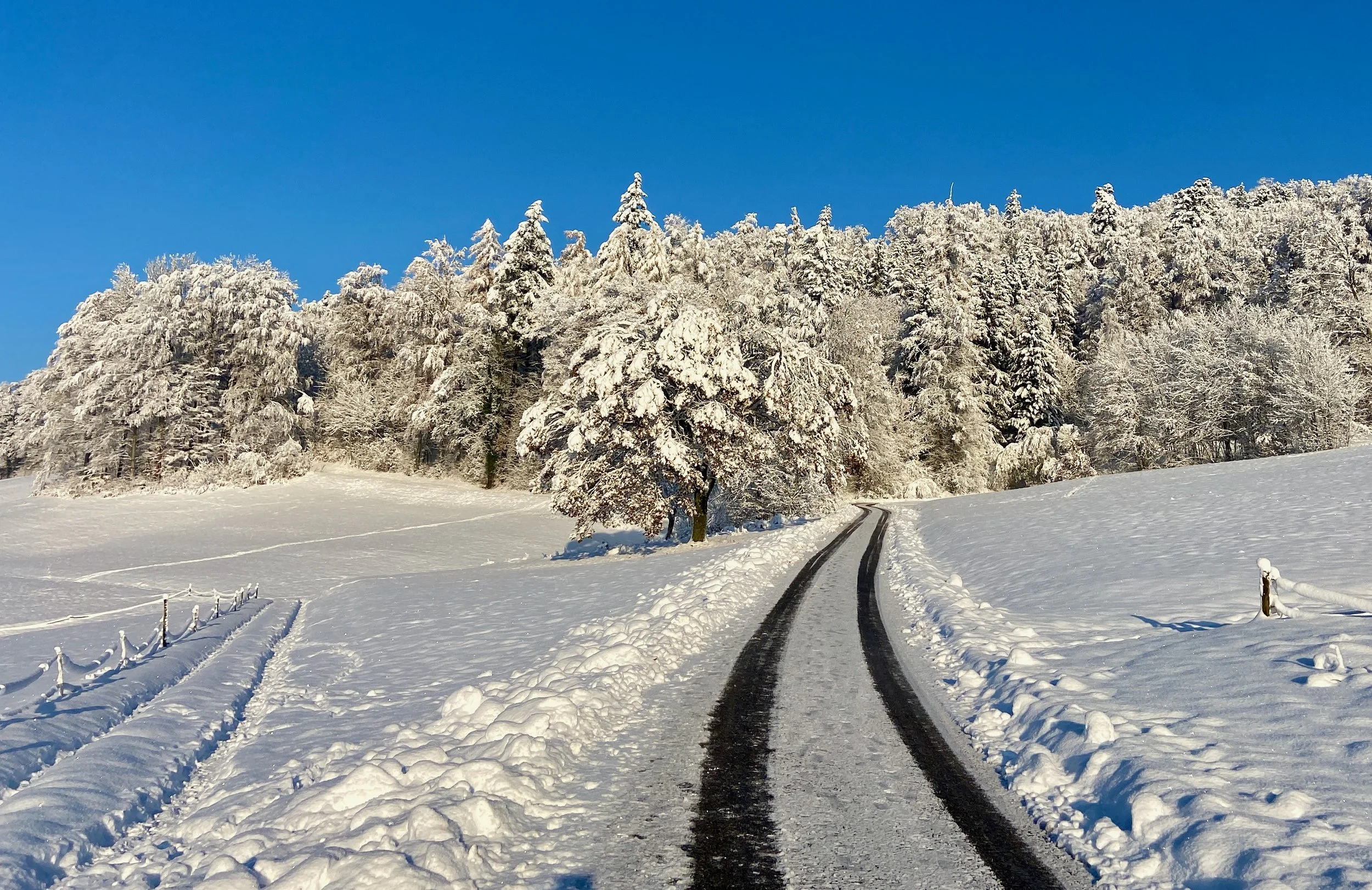 Dein Neuer Weg &amp; dein volles JA dazu, MI 13. Dezember 2023 um 20.00h