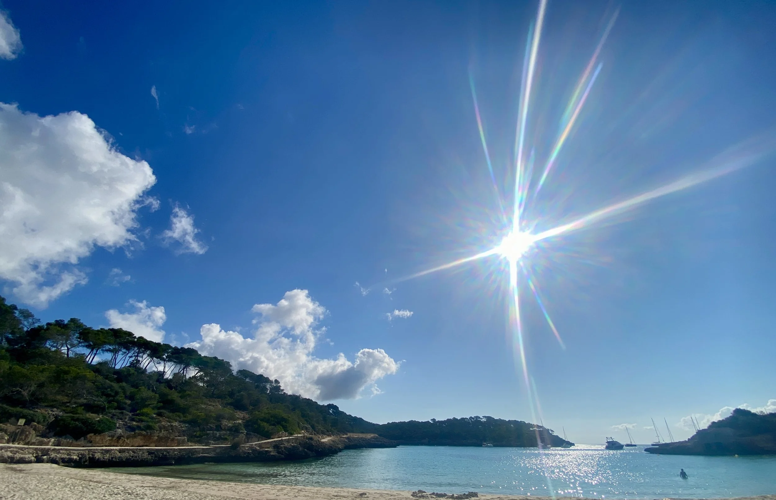  Webinar-Serie ✨💖💫 Lichtbrücke - Deine Wende ✨💖💫, jeden SO von 25. Februar bis 28. April um 20.00h