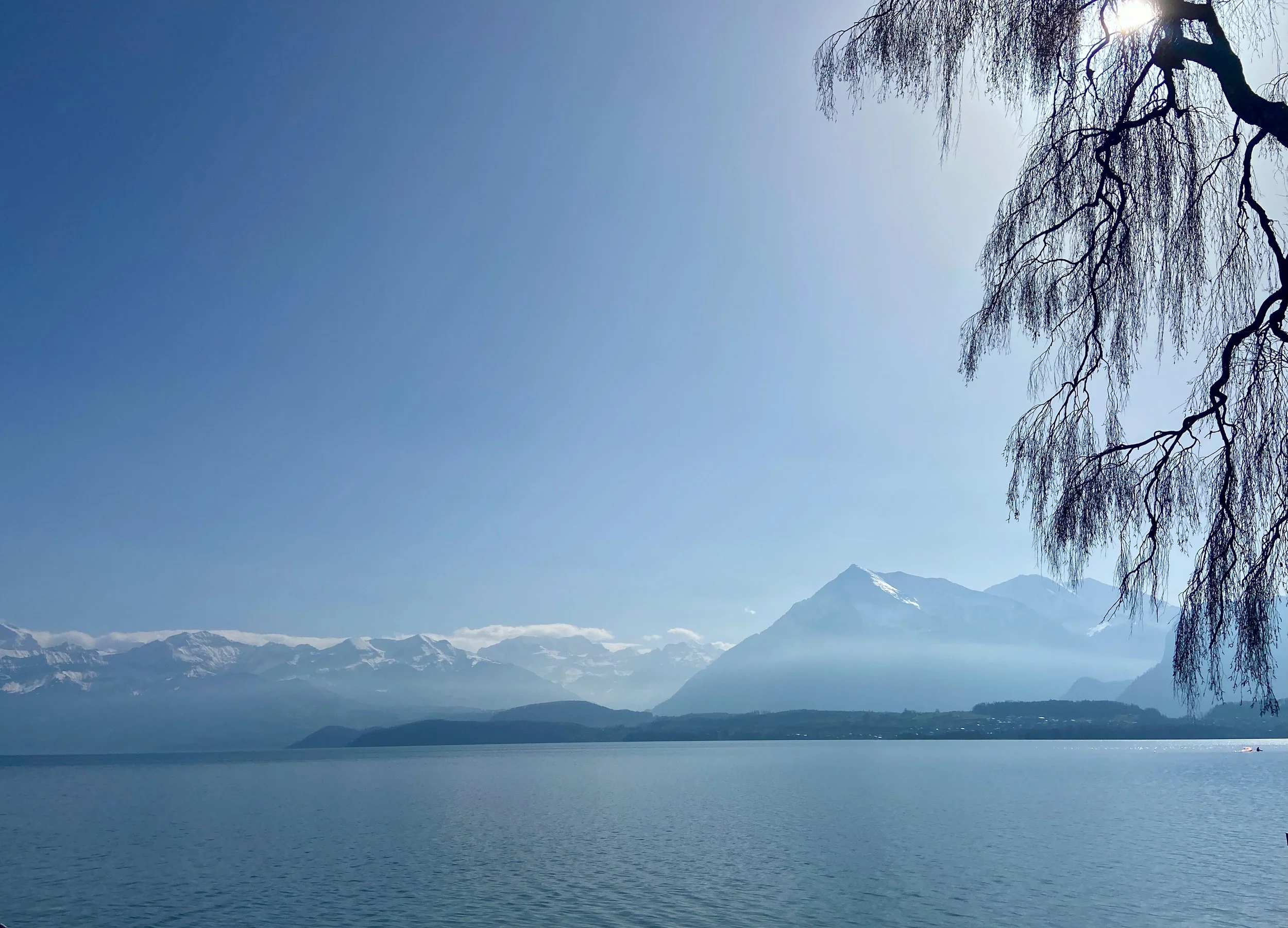 Im Frieden sein - Das Feld des Friedens stärken, SO 10. März 2024 um 20.00h