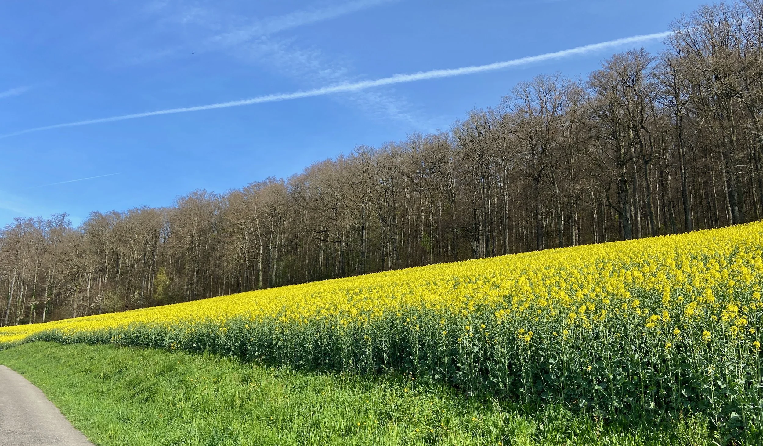 💥🌈 Grosse Expansion durch dich &amp; in dir drin, MI 8. Mai 2024 um 20.00h