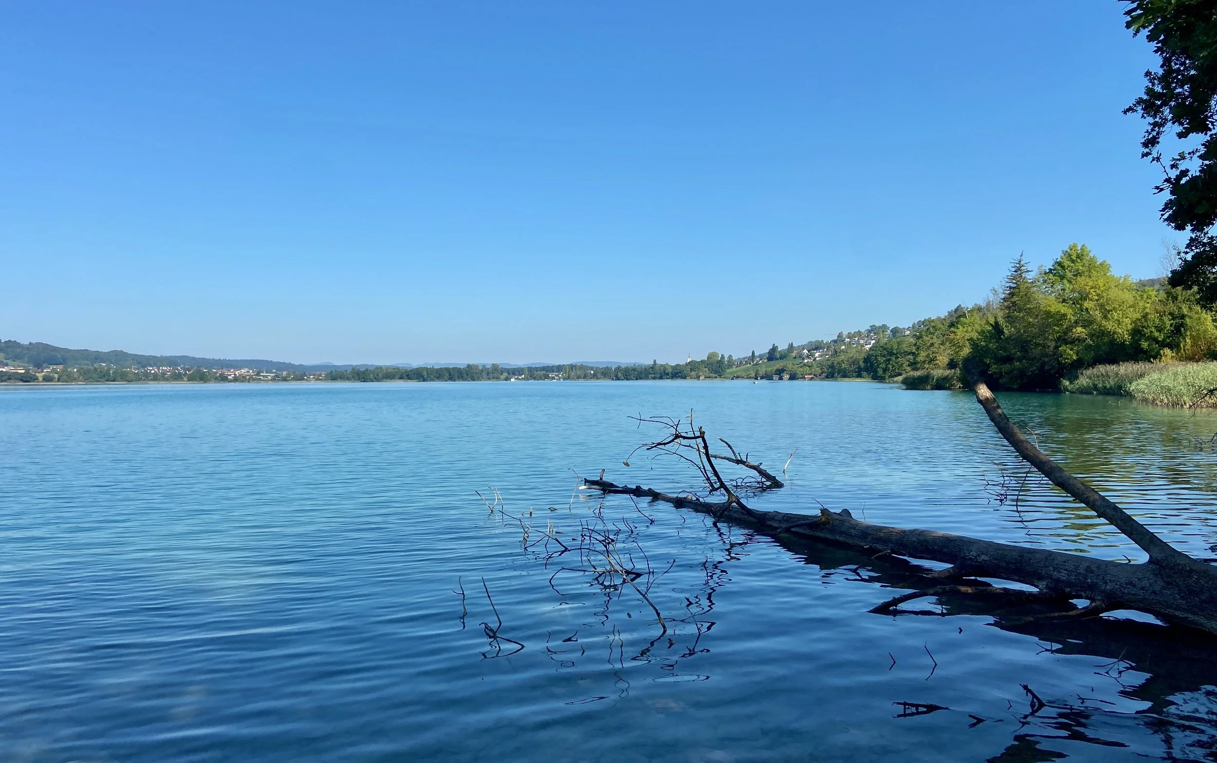 Mutter Plasma Energie &amp; Tiefste Ruhe, DI 3. September 2024 um 20.00h