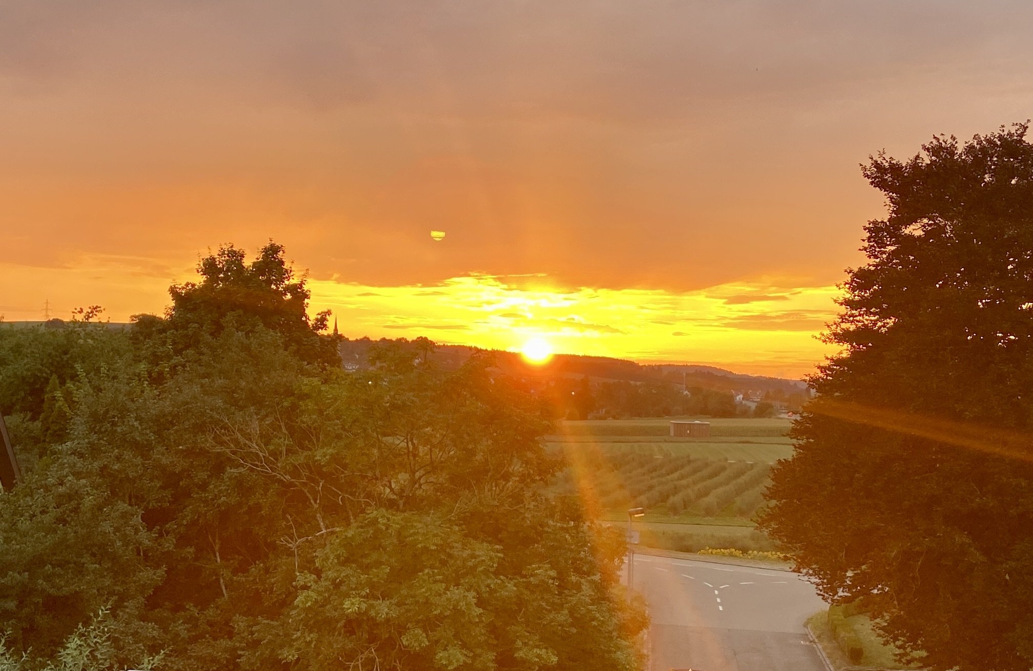 Webinar-Serie ✨💖💫 Lichtbrücke - Herbst ‘24 ✨💖💫, jeden MO von 16. September bis 18. November 2024 um 20.00h