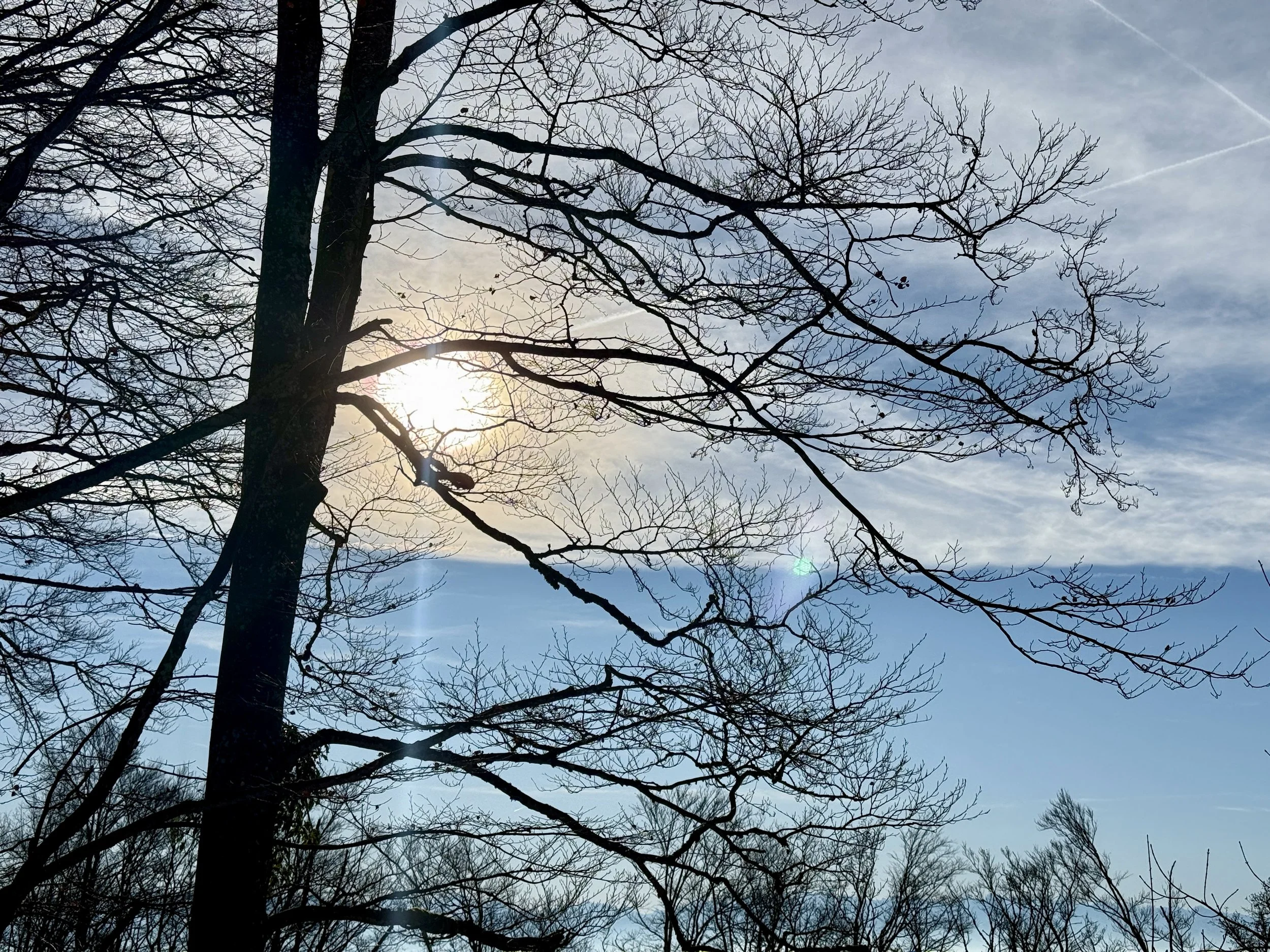 Webinar-Serie ✨💖💫 Lichtbrücke - Willkommen 2025 ✨💖💫, jeden MO von 13. Januar bis 17. März 2025 um 20.00h