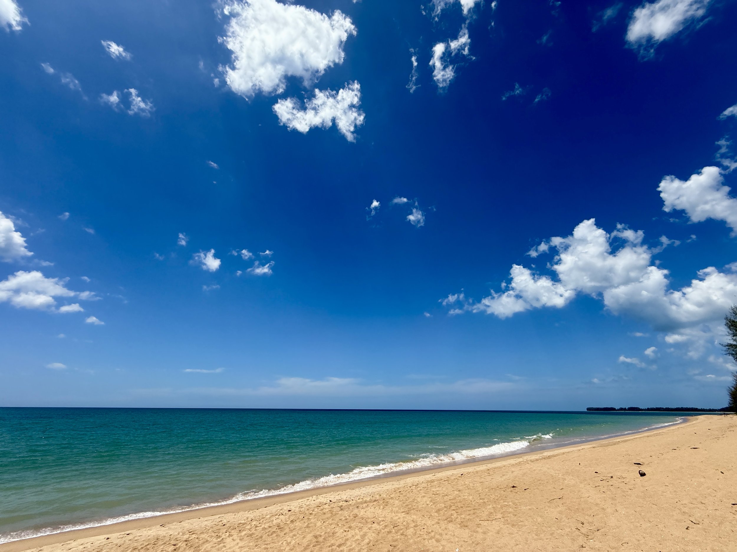 🕊️💖 Starke Friedensenergie &amp; tiefste Transformation, Fr 28. Februar 2025 um 20.00h