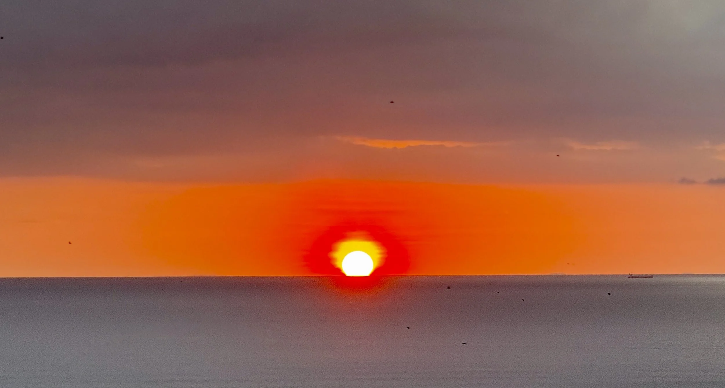 Neumond-Webinar SA 29. März &amp; Webinar-Serie ✨💖💫 Lichtbrücke - Frieden/NEUstart ✨💖💫, ab MO 31. März um 20.00h