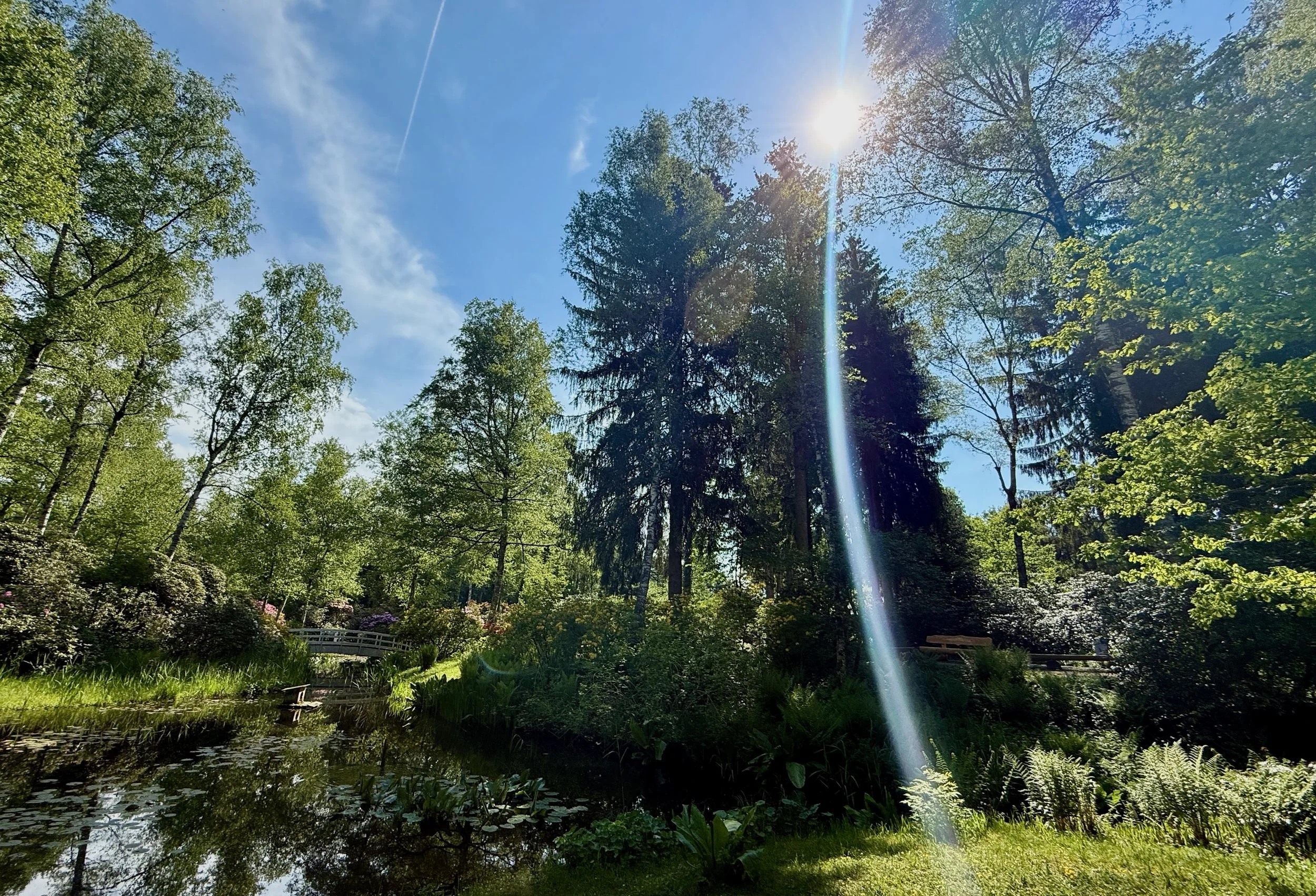 💥🌈🍾 Durchbruchenergie &amp; Freiheit im Neuen, DI 27. Mai 2025 um 20.00h